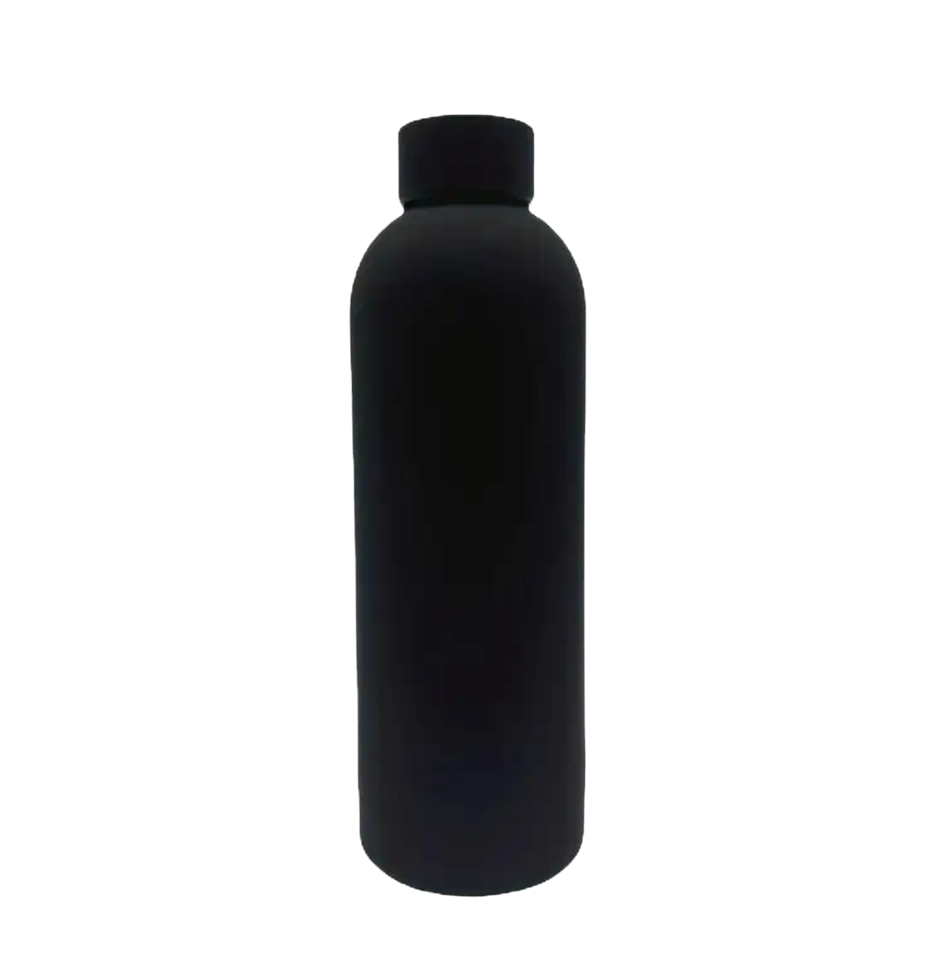 Sleek Insulated Water Bottle