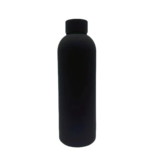Sleek Insulated Water Bottle